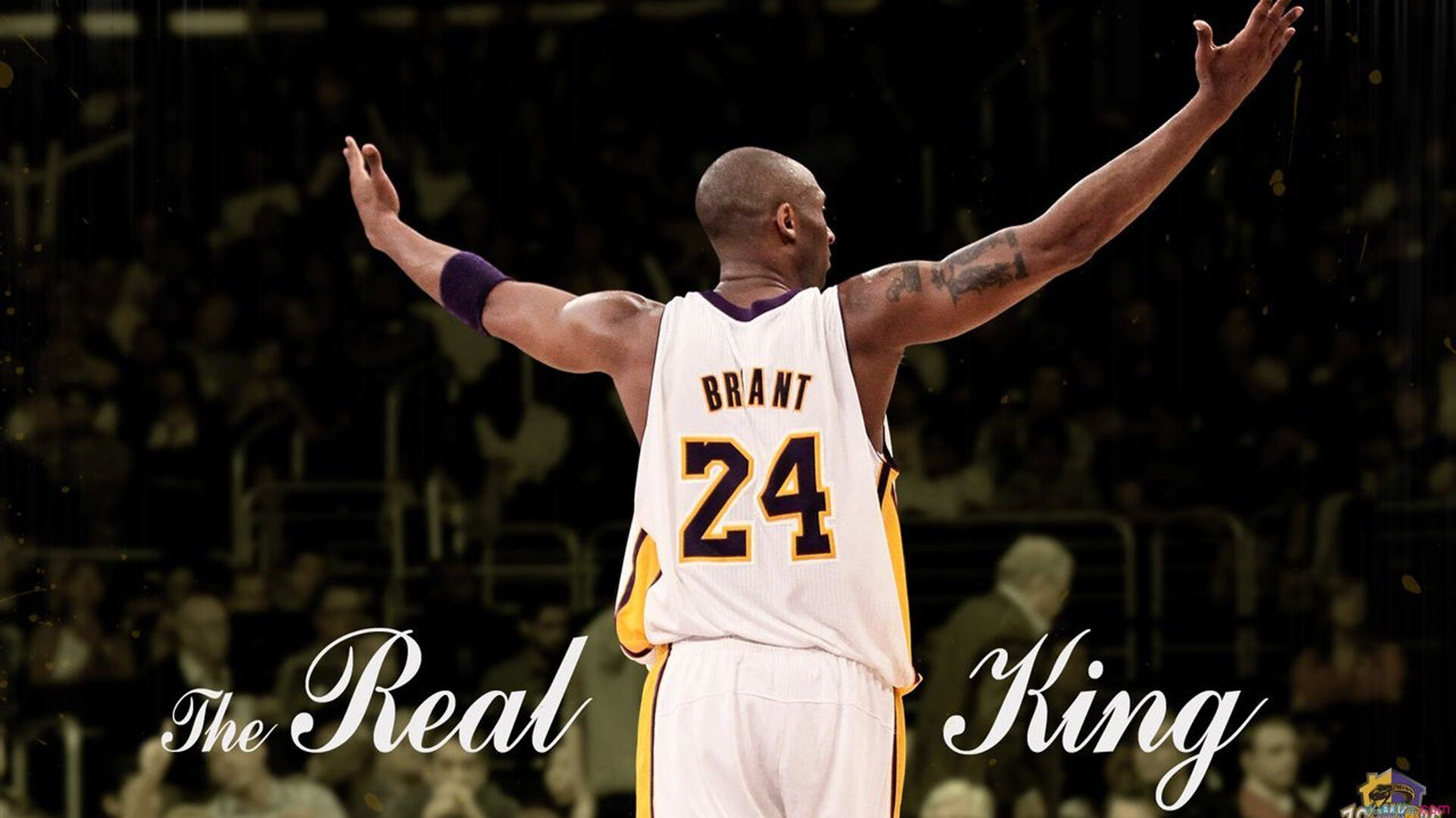 九游官方正版游戏中心-_骑士年轻球员持续发光，未来可期_，骑士球员阵容名单