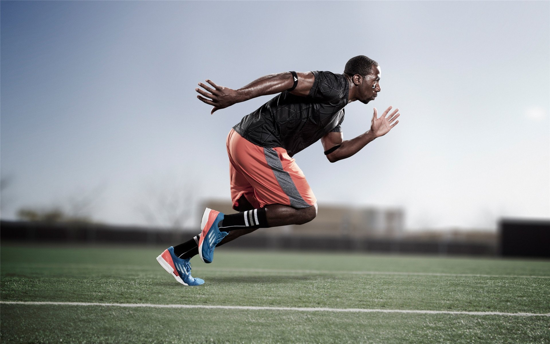 《守望先锋全球巡回赛，冠军悬念逐渐揭晓》，守望先锋巡演